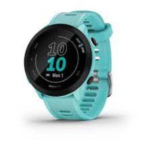 Garmin Forerunner 55 Watch (Aqua)